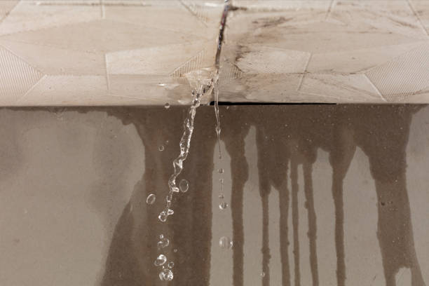 Professional Structural Drying technician working in New Providence, NJ